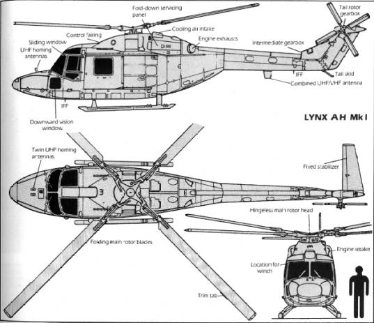 lynx
