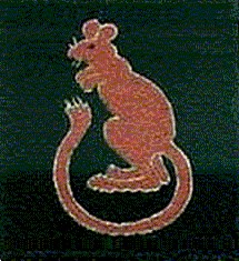 Insignia%204