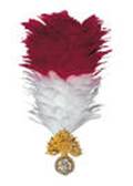 The distinctive red and white Hackle, worn by all ranks in the Regiment