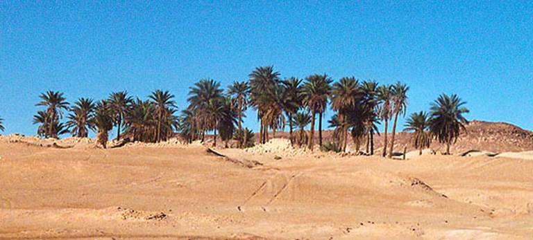 libya103