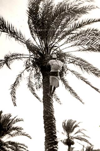 Tripoli 2-15