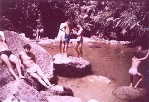 Jungle Pool 3 w