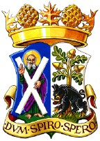 arms
