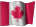 3dflags_can0001-0004a